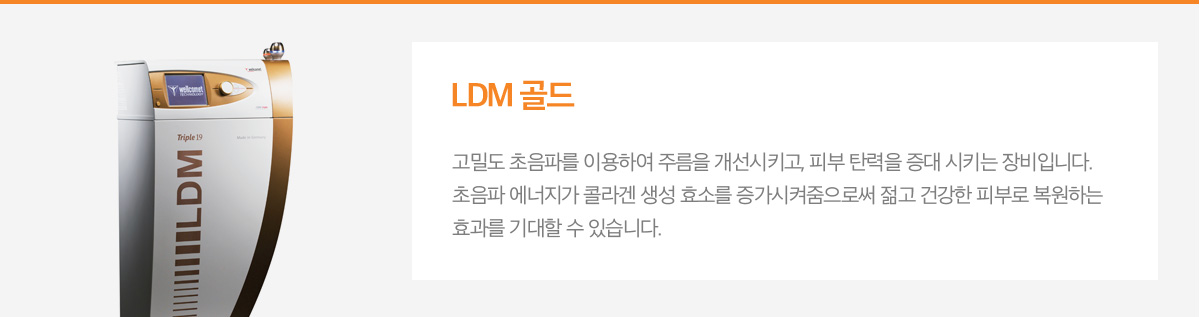 LDM 골드