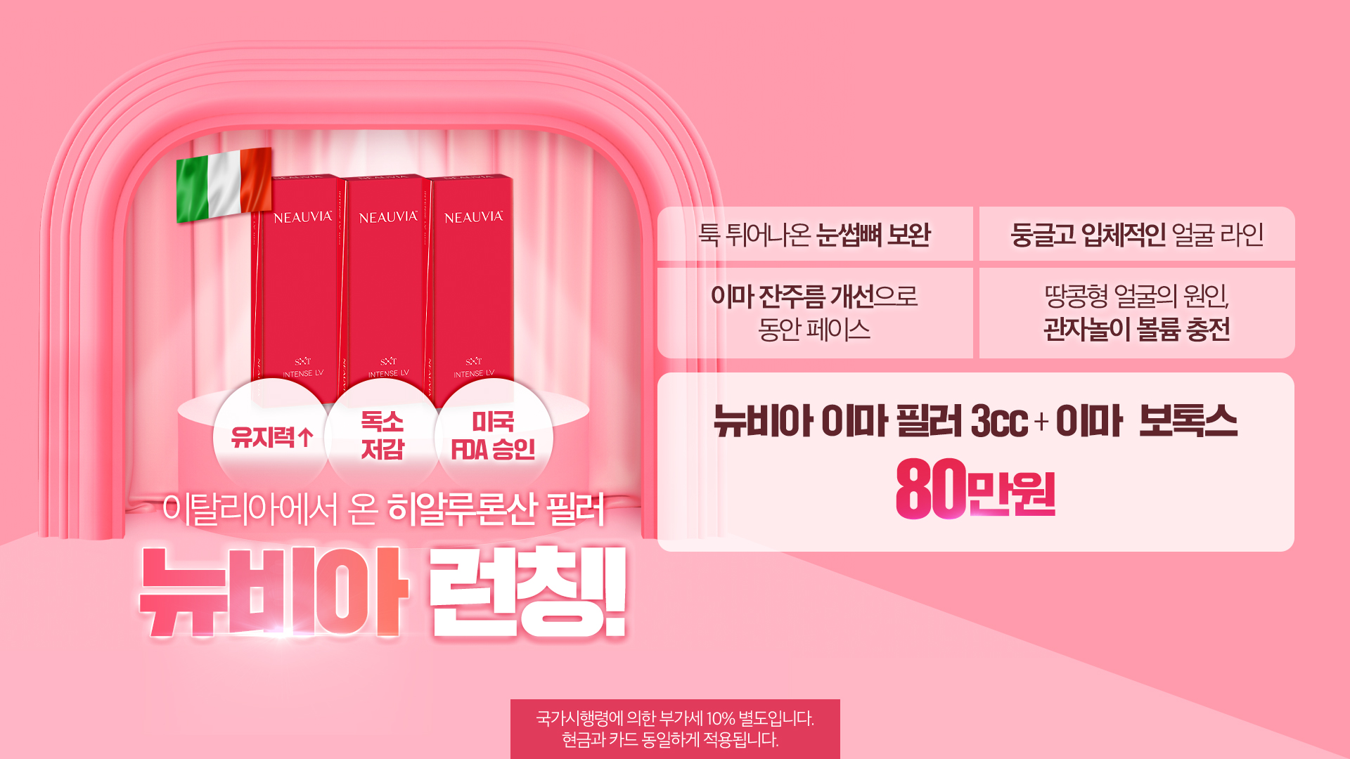 뉴비아런칭