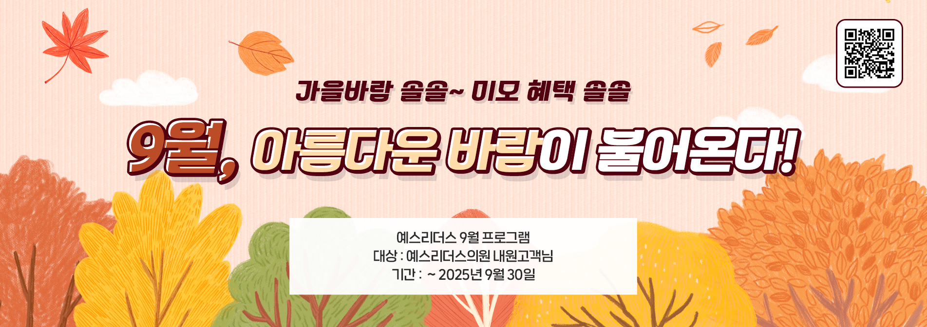 메인비주얼
